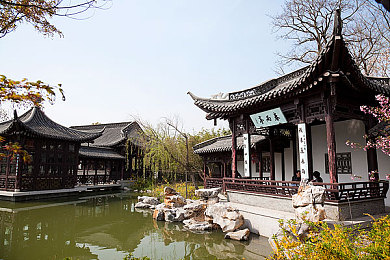 老公每天吃我小花园会伤肝吗|“甜蜜守护,菜园护肝:揭秘家庭小花园的养生奥秘”-2