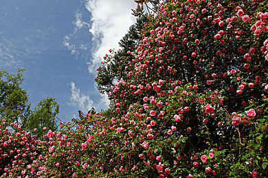 索14may18_XXXXXL56endian|末地探险宝藏寻:揭秘神秘游戏索14may18_XXXXXL56endian-1