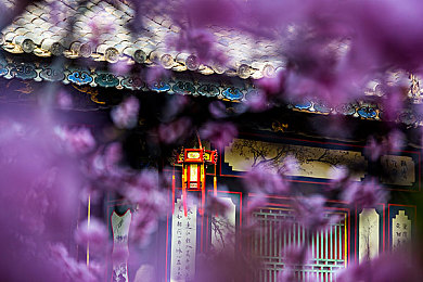 欧州一区三区三区`四区|欧洲游戏区大揭秘:一区首发三区多元四区个性体验-2