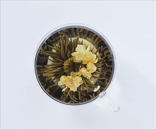 草莓视频官网入口ios,奇幻草莓园:魔法种植之旅-3