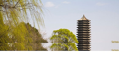 bt天堂网在线最新版｜畅享全新BT天堂，极致娱乐下载盛宴-3