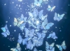 疯狂的肥岳交换130部小短片|肥岳疯狂交换130部短片,创意产业资源整合新潮流引领者-4