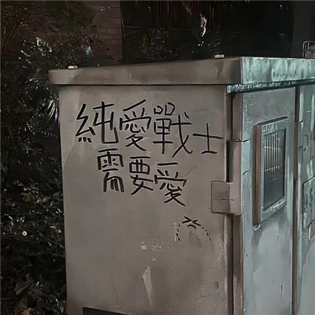 香蕉含羞草绿巨人：新型杂交植物“香蕉含羞草绿巨人”走红,成城市绿化新宠-3