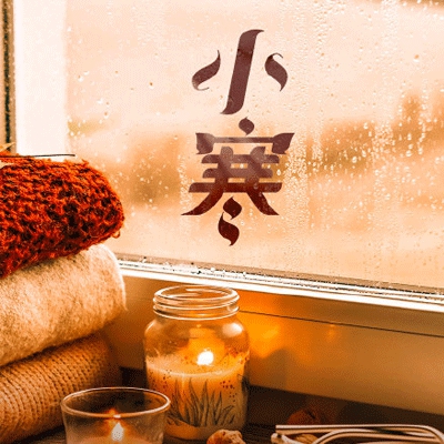 女生输了给对方玩一个月:社交媒体热议,青少年赌约引发法律与道德争议-3